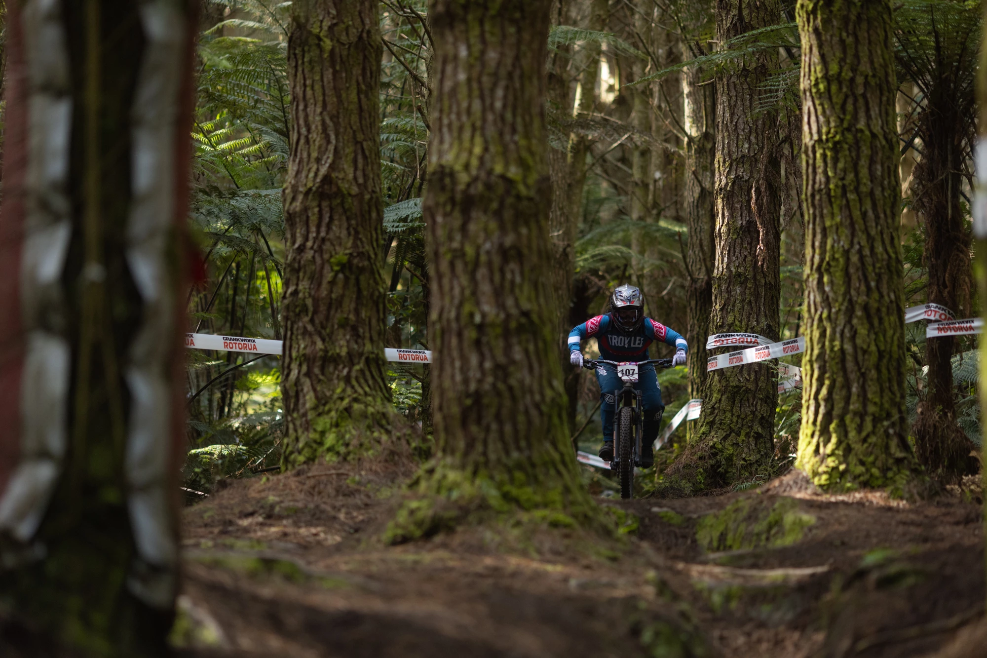 Vélos Complets Soldes -Vélos Complets Soldes 314585029 10160553644512867 1793200955399549223 n