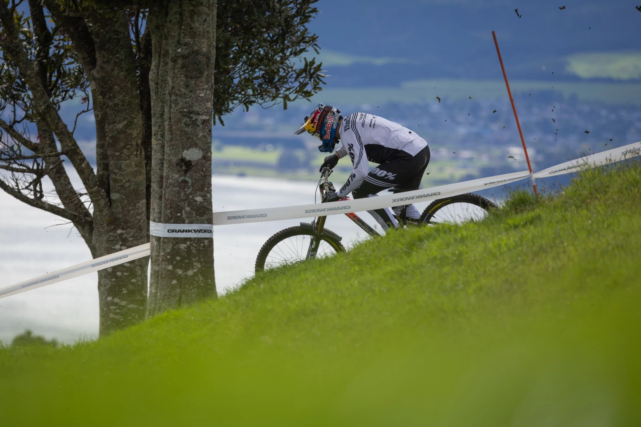 Vélos Complets Soldes -Vélos Complets Soldes 315212931 10160572781272867 7055212327036007550 n